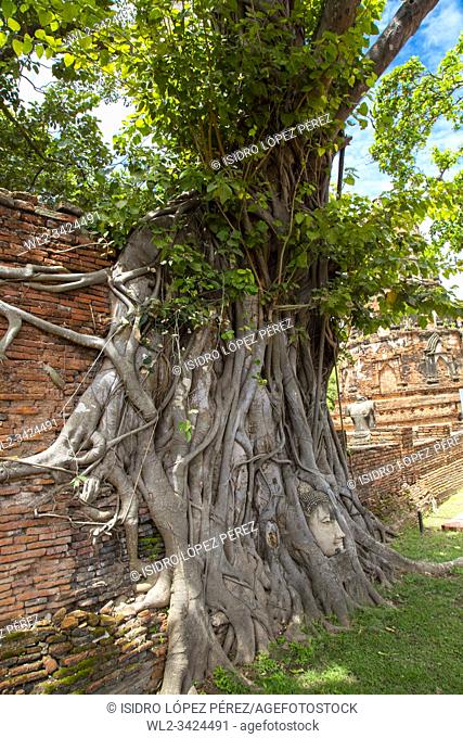 Buddha head surrounded by roots of the tree. Wat Mahathat temple. Ayutthaya, Thailand