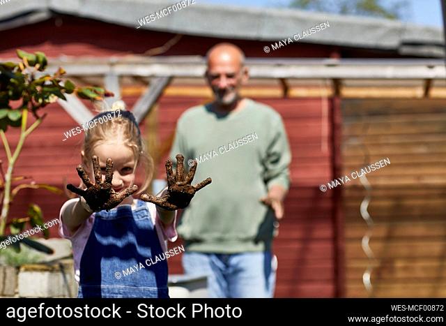 Portrait of girl with grandfather in allotment garden showing her dirty hands