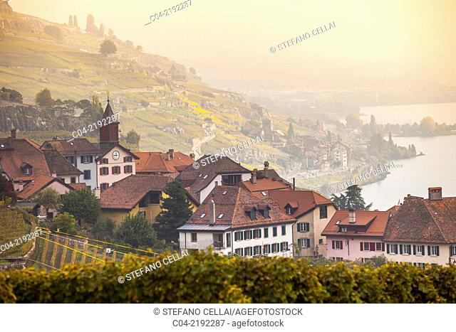 Switzerland, vaud, Lac Leman, Lavaux vineyard