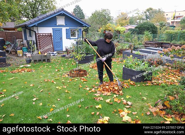 21 October 2022, Berlin: Anke Bartningkat gardening in her allotment garden in the allotment garden site ""Grüner Grund""