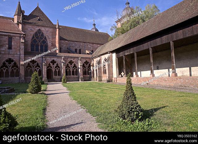 gr 533, the cloister of the Cathedral of st Dié les Vosges, France