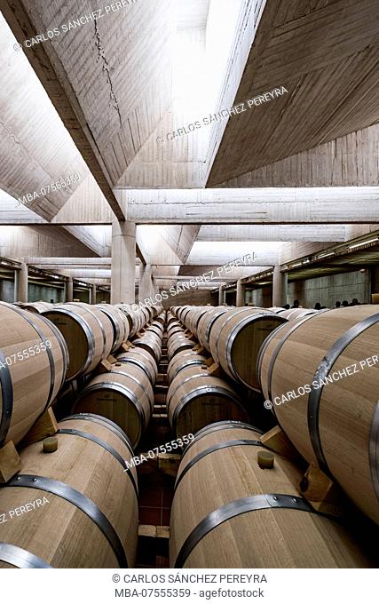 Barrels in the modern facilities of Pago de Carraovejas wine cellars of Ribera del Duero denomination of origin in Valladolid Spain Europe
