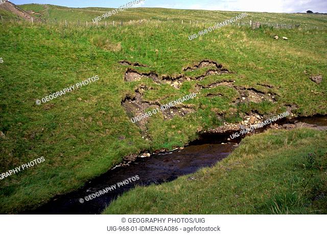 Erosion of river bank on small upland stream, headwaters of River Tyne south, England