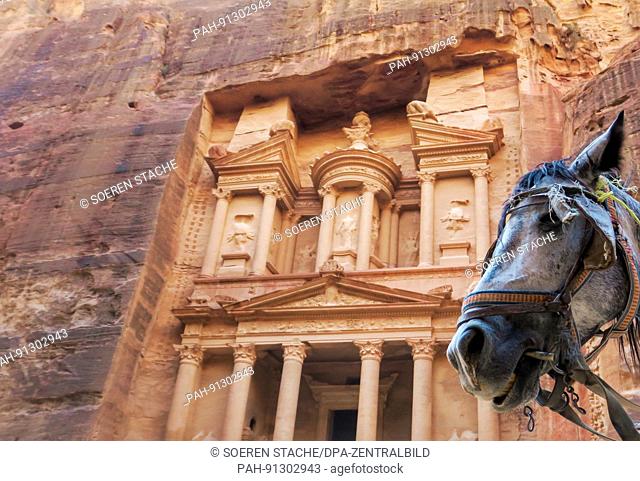 A horse outside the Al-Khazneh temple, carved out of the sandstone rock face, in the historic city of Petra, Jordan, 12 November 2016