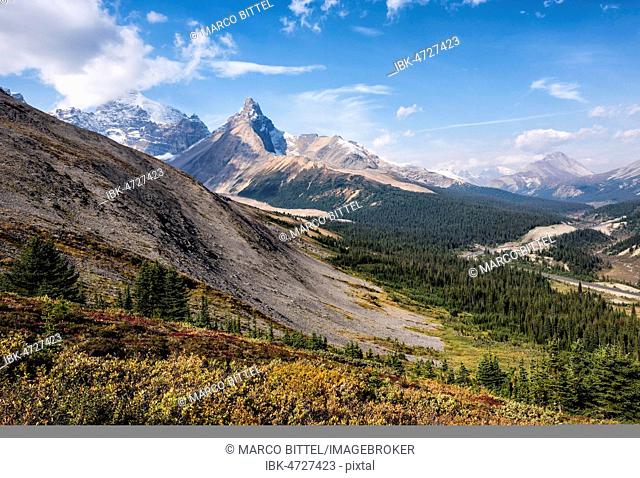 Autumn view of Mount Athabasca and Hilda Peak, view from Parker Ridge Trail, Icefields Parkway, Highway 93, Jasper National Park, Rocky Mountains, Alberta