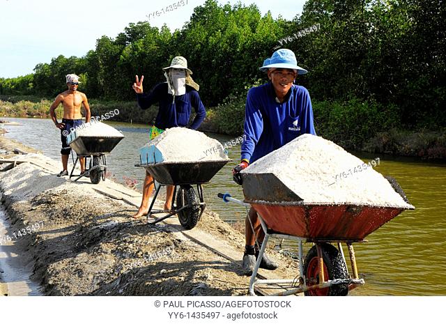Salt fields of samut sakhon, labourers harvesting salt, samut sakhon , Thailand