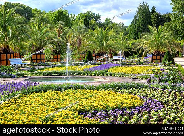 Palm garden with fountains and flower borders in the spa park Bad Pyrmont, Staatsbad Emmertal, Weserbergland, Lower Saxony, Germany