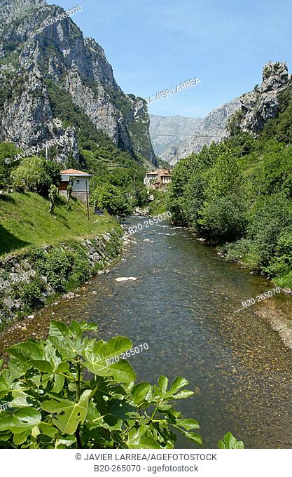 Desfiladero de la Hermida, Deva River gorge. Cantabria. Spain
