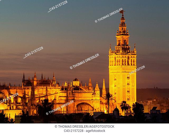 The Moorish Giralda (1184-96) next to the Gothic Cathedral (1402-1506). Illuminated at dusk. Seville, Seville province, Andalusia, Spain