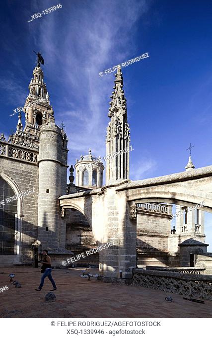 Gothic flying buttress and pinnacle on the roof of Santa Maria de la Sede Cathedral, Seville, Spain