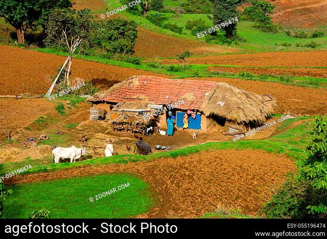 A rural house with a farm in Ratangad, India