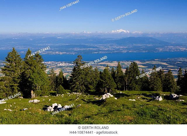 view, La Dôle, Switzerland canton Vaud, Vaud lands Jura, view mountain, lake of Geneva, France, Montblanc, wood, forest