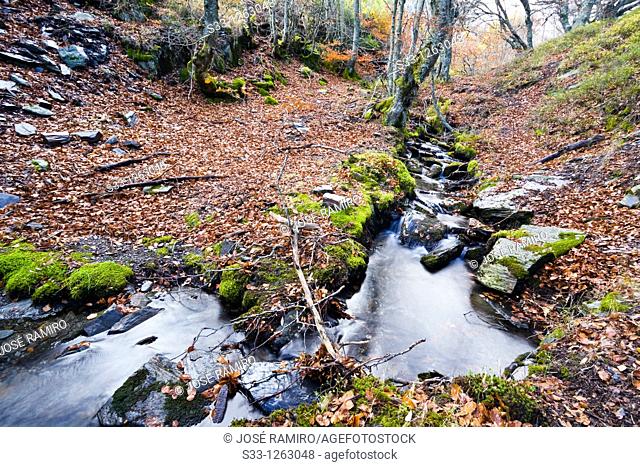 The Zarza stream in the Sierra Norte Guadalajara Castilla la Mancha Spain