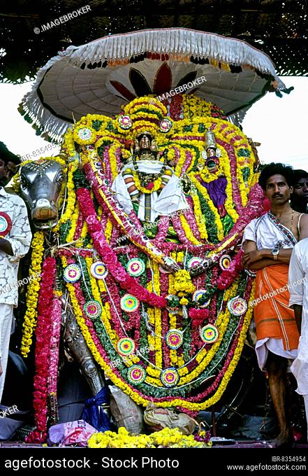 Lord Kumbeswara with goddess Mangalambigai in decorated Rishaba Vahanam places in the bank of the Mahamakam Mahamaham Mahamagam tank in Kumbakonam, Tamil Nadu