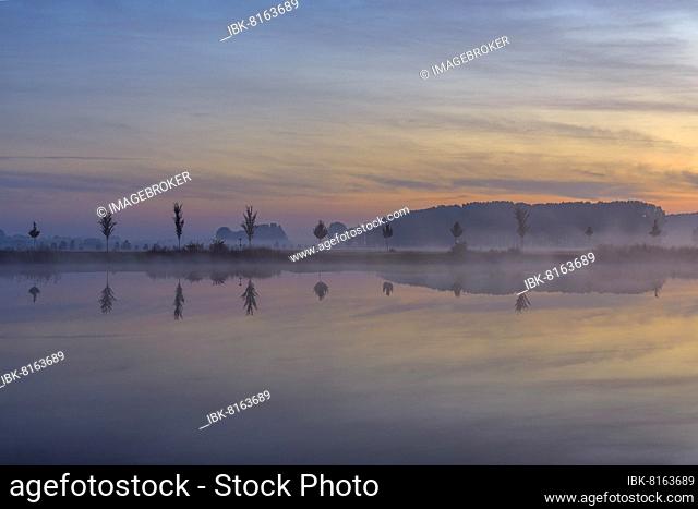 Landscape with Row of Trees Reflecting in Lake at Dawn, Drei Gleichen, Ilm District, Thuringia, Germany, Europe