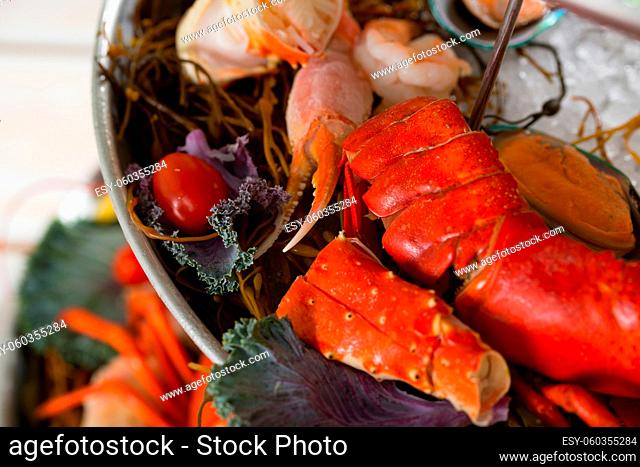 Close up shot of asssorted seafood on a platter with lobster