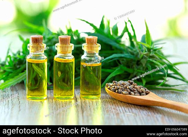 Hemp seeds and hemp oil on wooden table. Hemp seeds in wooden spoon and hemp essential oil in small glass bottle. cannabis oil cbd