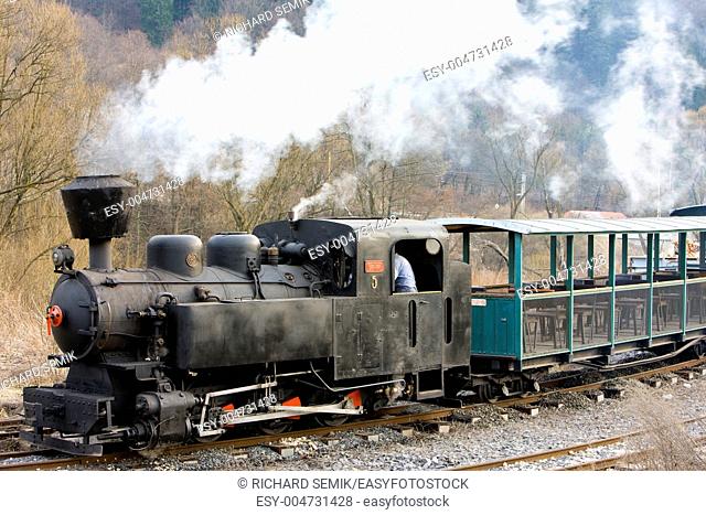 last day of service of CKD steam locomotive n 5 1 4 2008, Ciernohronska Railway, Slovakia