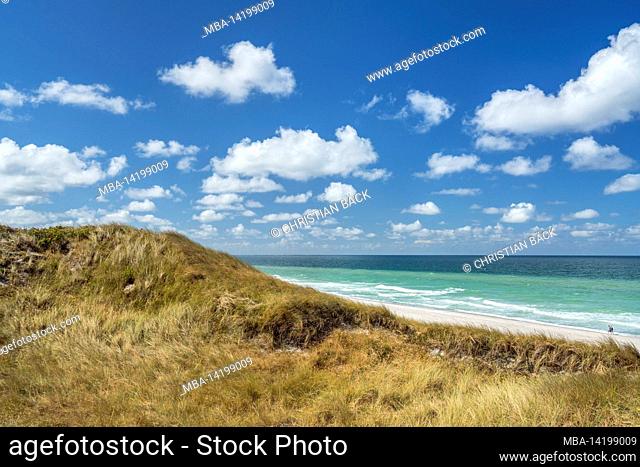 Dunes on the beach in front of Hörnum, Sylt Island, Schleswig-Holstein, Germany
