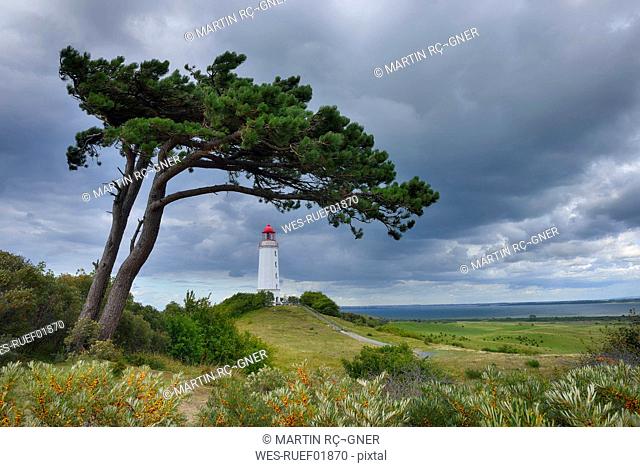 Germany, Mecklenburg-Western Pomerania, Hiddensee Island, Dornbusch Lighthouse and pine tree with cloudy sky