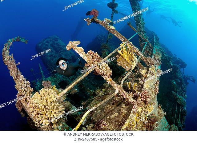 Freediver dives on the wreckship Gianis D. Red Sea, Sharm El Sheikh, Egyp