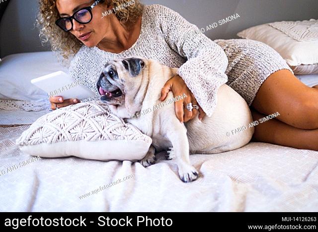 young woman with her pet looking at digital tablet. woman with dog lying relaxing on bed. woman enjoying her weekend lying on bed with pet pug dog and watching...