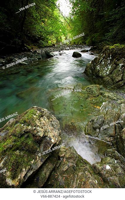 River in Strathcona Provincial Park (Vancouver Island)