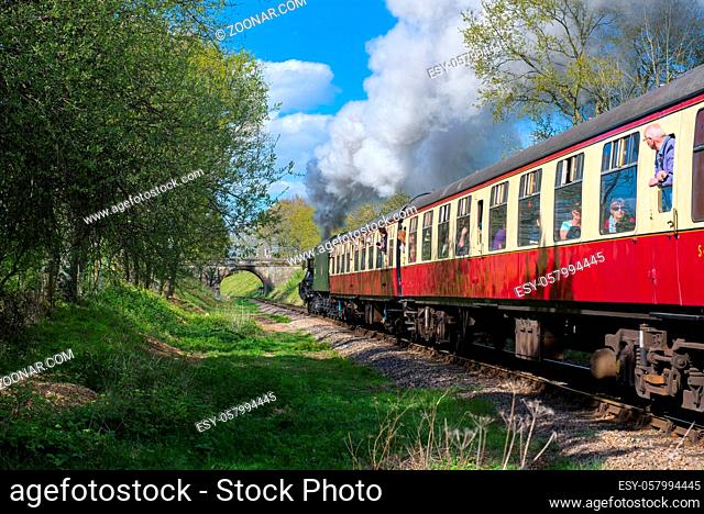 Flying Scotsman on the Bluebell Line