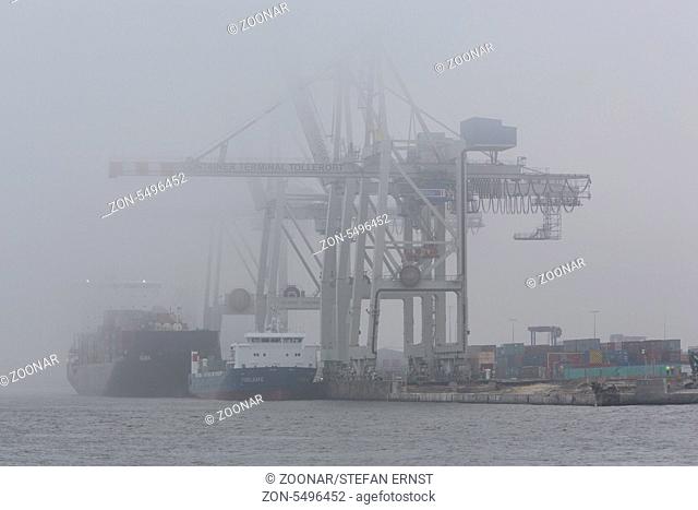 Containerterminal Tollerort im Nebel, Hamburg, Deutschland / Container terminal Tollerort with fog, Hamburg, Germany