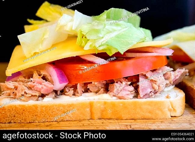 Delicious appetizing sandwich, fast a fast food