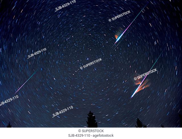 Leonid Double Bolides in the Night Sky