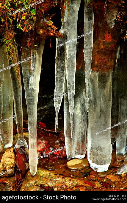 USA, Washington, Hanging icicles beneath root in Wallace Falls State Park