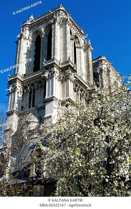 The cathedral of Notre Dame in springtime