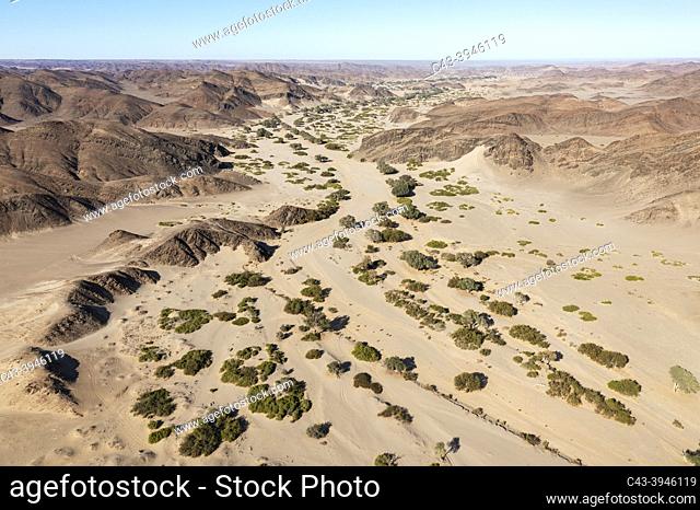 The dry bed of the Hoanib river. Aerial view. Drone shot. Damaraland, Namibia
