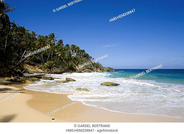 Dominican Republic, North coast, Rio San Juan, Playa Grande beach