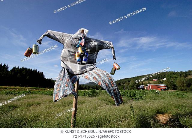 Scarecrow decorated with beer cans on a windy day in Sweden