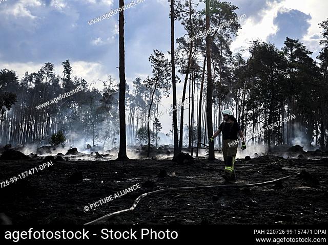 26 July 2022, Brandenburg, Falkenberg: A firefighter walks among charred trees during a forest fire. Firefighters in Brandenburg continue to fight a large...