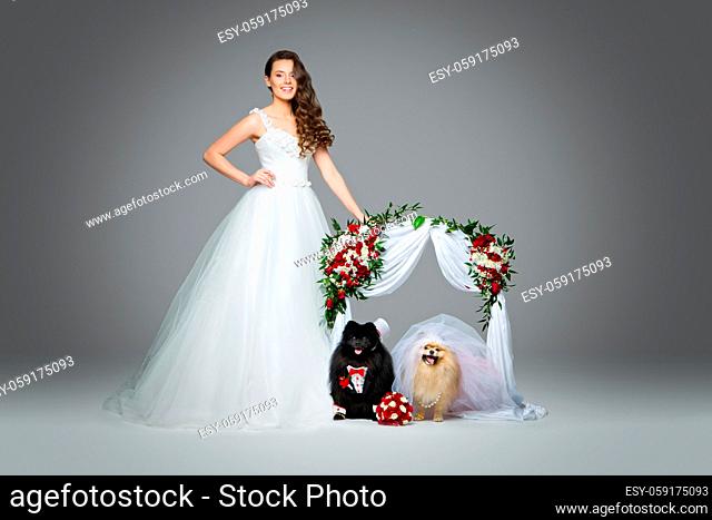 Beautiful bride young woman in white gown standing with spitz wedding couple under flower arch over grey background. dog bride in skirt and veil