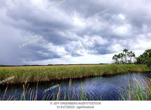 Florida, Tamiami Trail, Florida Everglades, Everglades National Park, tropical wetland, environment, ecosystem, vegetation, sawgrass, marsh, canal, storm clouds