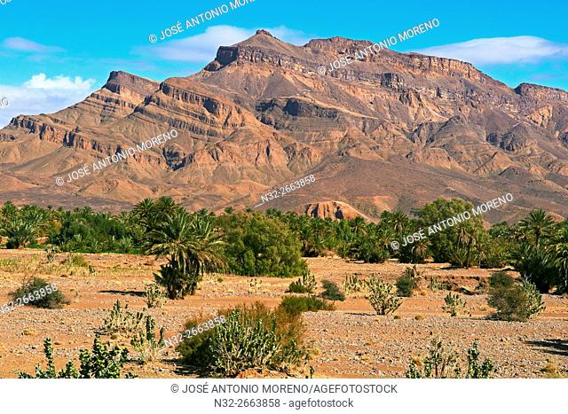 Djebel Kissane, Palm Grove, Oasis, Draa Valley, Souss-Massa-Draa region, Valley of the Draa river, Anti Atlas, Morocco, Maghreb, North Africa