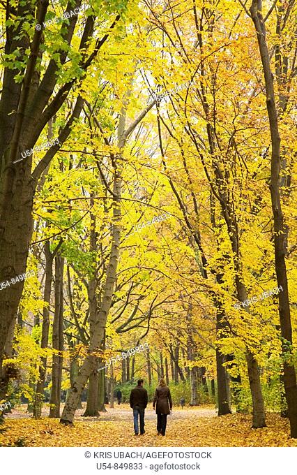 Autumn in Tiergarten forest in Berlin. Germany. Europe