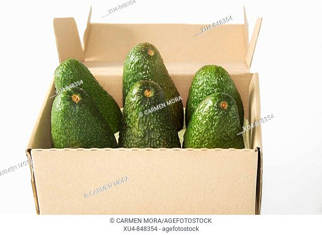 box, avocados