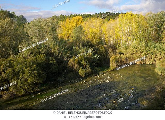 Autumn landscape of the Cabriel river, Cuenca, Spain