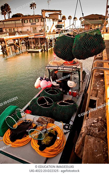commercial divers unload their catch of red sea urchins, Santa Barbara Harbor, California