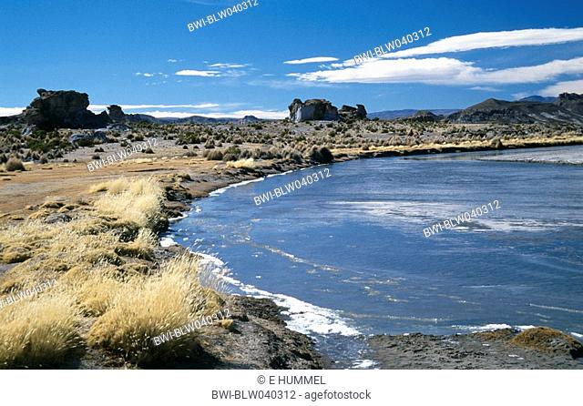 lake on the Bolivian Altiplano, with the Cordillera de los Frailes, Bolivia, Altiplano
