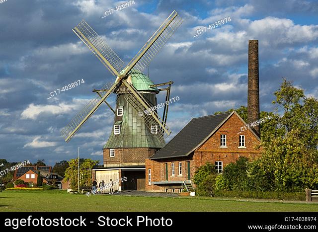 Suedlohn, Germany, Suedlohn, Westmuensterland, Muensterland, Westphalia, North Rhine-Westphalia, NRW, Tower Windmill Menke, Dutch mill