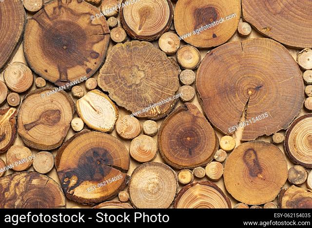 A wooden mosaic of larch tree slices. Circular cut pieces of wood. Oiled wood rounds with visible annual circles
