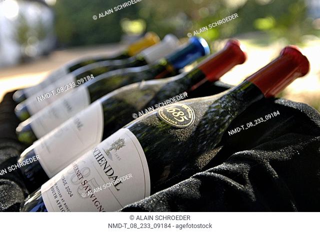 Close-up of wine bottles in a row, Boschendal Wine Estates, Western Cape Province, South Africa