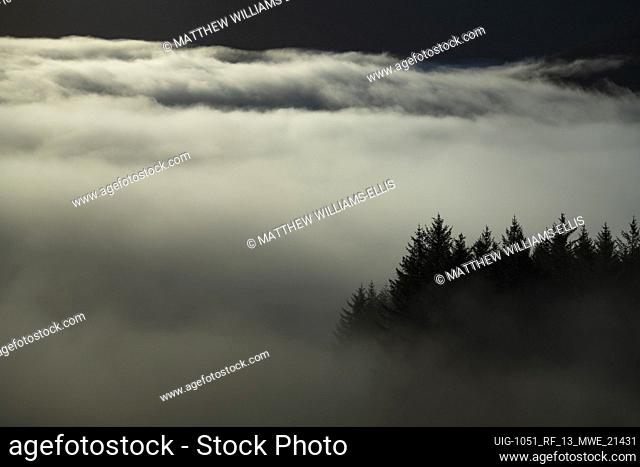 Misty mountain landscape seen from Ben Lomond in Loch Lomond and the Trossachs National Park, Scottish Highlands, Scotland