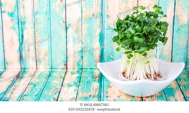 Radish sprout vegetables over wooden background
